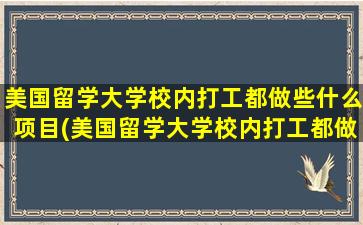 美国留学大学校内打工都做些什么项目(美国留学大学校内打工都做些什么项目)