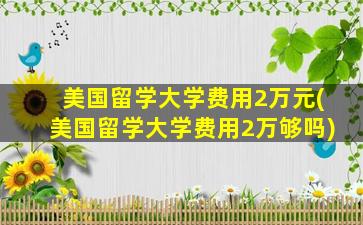 美国留学大学费用2万元(美国留学大学费用2万够吗)