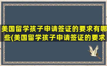 美国留学孩子申请签证的要求有哪些(美国留学孩子申请签证的要求高吗)