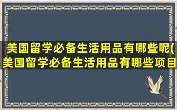 美国留学必备生活用品有哪些呢(美国留学必备生活用品有哪些项目)