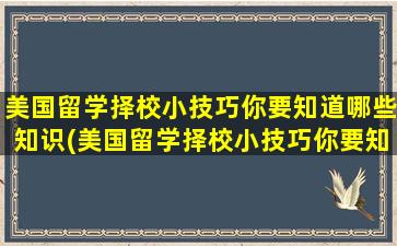 美国留学择校小技巧你要知道哪些知识(美国留学择校小技巧你要知道哪些)