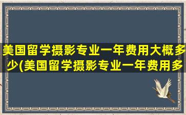 美国留学摄影专业一年费用大概多少(美国留学摄影专业一年费用多少钱)