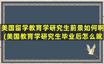 美国留学教育学研究生前景如何啊(美国教育学研究生毕业后怎么就业)