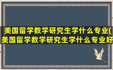 美国留学数学研究生学什么专业(美国留学数学研究生学什么专业好)