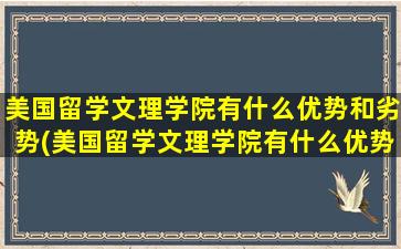 美国留学文理学院有什么优势和劣势(美国留学文理学院有什么优势专业)