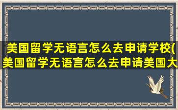 美国留学无语言怎么去申请学校(美国留学无语言怎么去申请美国大学)