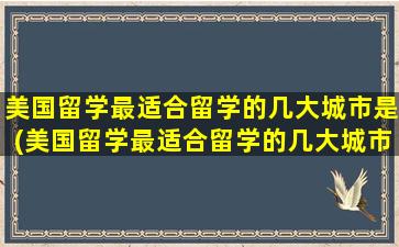 美国留学最适合留学的几大城市是(美国留学最适合留学的几大城市是哪里)