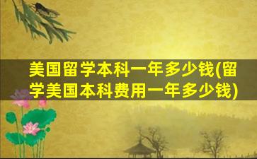 美国留学本科一年多少钱(留学美国本科费用一年多少钱)