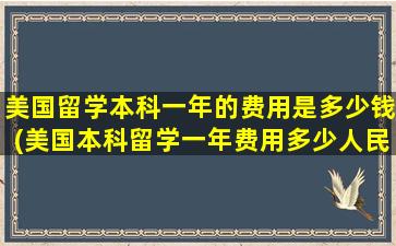 美国留学本科一年的费用是多少钱(美国本科留学一年费用多少人民币)