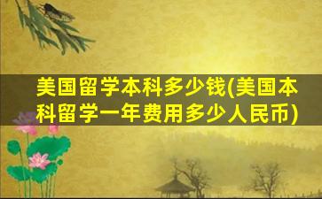 美国留学本科多少钱(美国本科留学一年费用多少人民币)