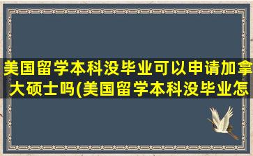 美国留学本科没毕业可以申请加拿大硕士吗(美国留学本科没毕业怎么办)