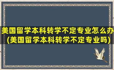 美国留学本科转学不定专业怎么办(美国留学本科转学不定专业吗)