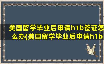 美国留学毕业后申请h1b签证怎么办(美国留学毕业后申请h1b签证要多久)