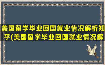 美国留学毕业回国就业情况解析知乎(美国留学毕业回国就业情况解析怎么写)