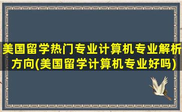 美国留学热门专业计算机专业解析方向(美国留学计算机专业好吗)