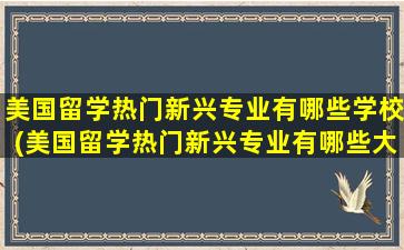 美国留学热门新兴专业有哪些学校(美国留学热门新兴专业有哪些大学)