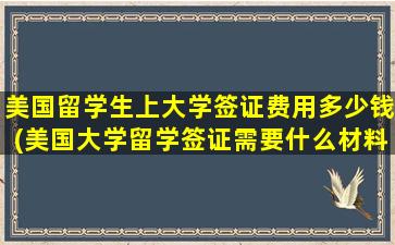 美国留学生上大学签证费用多少钱(美国大学留学签证需要什么材料)