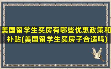 美国留学生买房有哪些优惠政策和补贴(美国留学生买房子合适吗)