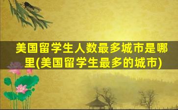 美国留学生人数最多城市是哪里(美国留学生最多的城市)