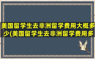 美国留学生去非洲留学费用大概多少(美国留学生去非洲留学费用多少钱)