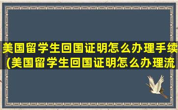 美国留学生回国证明怎么办理手续(美国留学生回国证明怎么办理流程)