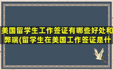 美国留学生工作签证有哪些好处和弊端(留学生在美国工作签证是什么样子)