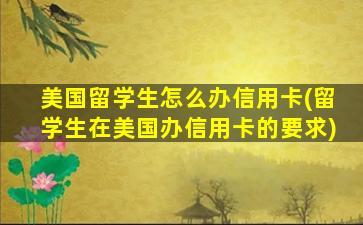 美国留学生怎么办信用卡(留学生在美国办信用卡的要求)