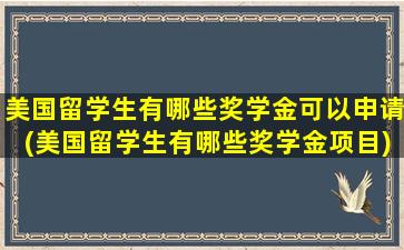 美国留学生有哪些奖学金可以申请(美国留学生有哪些奖学金项目)