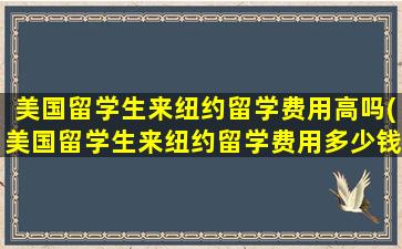 美国留学生来纽约留学费用高吗(美国留学生来纽约留学费用多少钱)