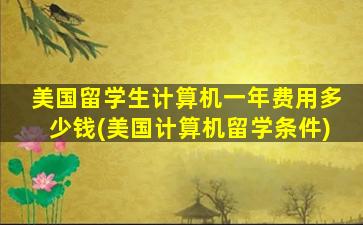 美国留学生计算机一年费用多少钱(美国计算机留学条件)