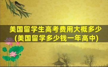 美国留学生高考费用大概多少(美国留学多少钱一年高中)