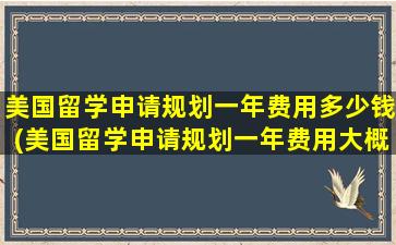 美国留学申请规划一年费用多少钱(美国留学申请规划一年费用大概多少)