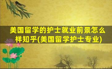 美国留学的护士就业前景怎么样知乎(美国留学护士专业)