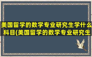 美国留学的数学专业研究生学什么科目(美国留学的数学专业研究生学什么内容)