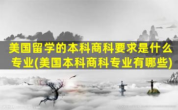 美国留学的本科商科要求是什么专业(美国本科商科专业有哪些)