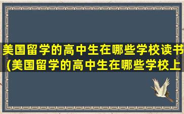 美国留学的高中生在哪些学校读书(美国留学的高中生在哪些学校上学)