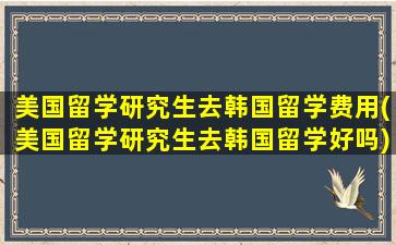 美国留学研究生去韩国留学费用(美国留学研究生去韩国留学好吗)