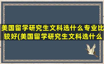 美国留学研究生文科选什么专业比较好(美国留学研究生文科选什么专业最好)