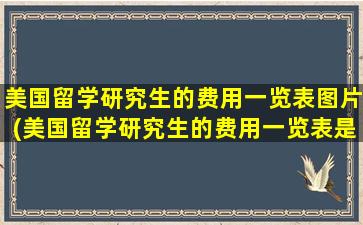 美国留学研究生的费用一览表图片(美国留学研究生的费用一览表是多少)