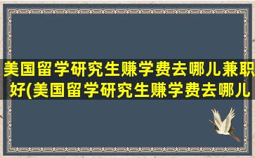 美国留学研究生赚学费去哪儿兼职好(美国留学研究生赚学费去哪儿兼职呢)