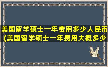 美国留学硕士一年费用多少人民币(美国留学硕士一年费用大概多少)