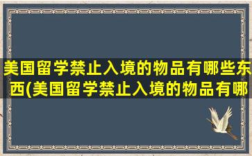 美国留学禁止入境的物品有哪些东西(美国留学禁止入境的物品有哪些品牌)