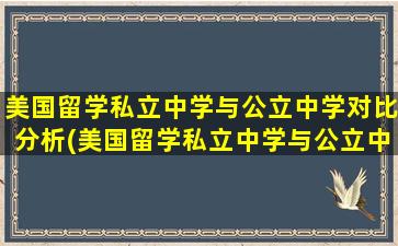 美国留学私立中学与公立中学对比分析(美国留学私立中学与公立中学对比图)