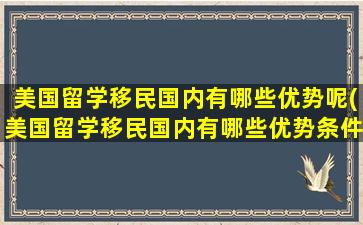 美国留学移民国内有哪些优势呢(美国留学移民国内有哪些优势条件)