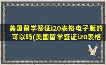 美国留学签证i20表格电子版的可以吗(美国留学签证i20表格代码变了需重新签证吗)