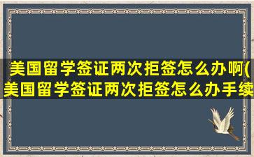 美国留学签证两次拒签怎么办啊(美国留学签证两次拒签怎么办手续)