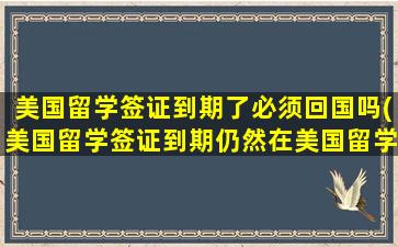 美国留学签证到期了必须回国吗(美国留学签证到期仍然在美国留学可以吗)