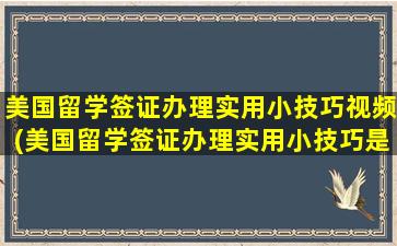 美国留学签证办理实用小技巧视频(美国留学签证办理实用小技巧是什么)