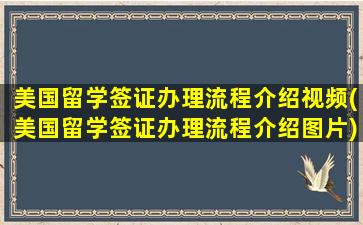 美国留学签证办理流程介绍视频(美国留学签证办理流程介绍图片)