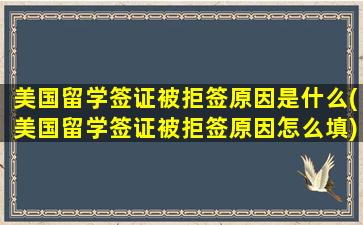 美国留学签证被拒签原因是什么(美国留学签证被拒签原因怎么填)